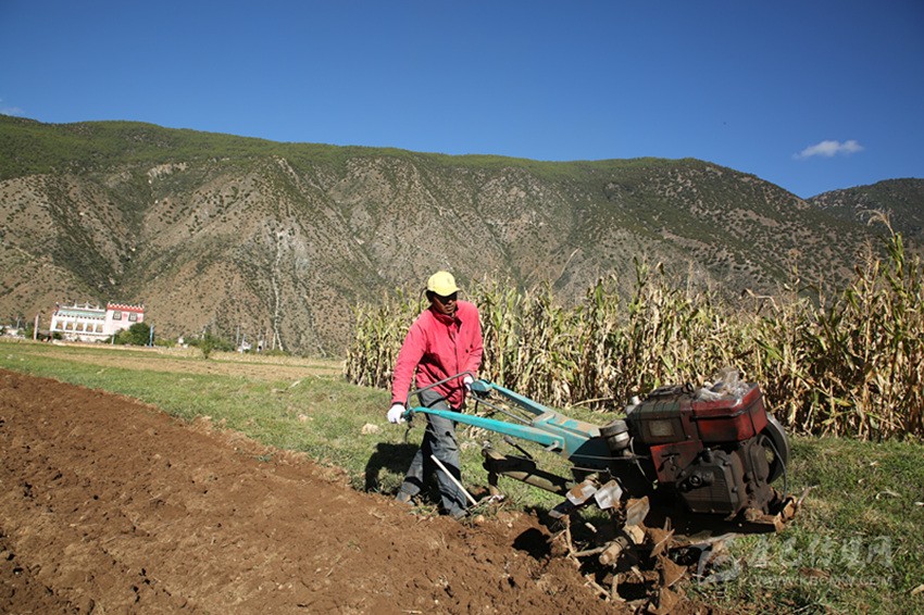 田園藏鄉(xiāng)美如畫(huà)，百姓脫貧喜在心