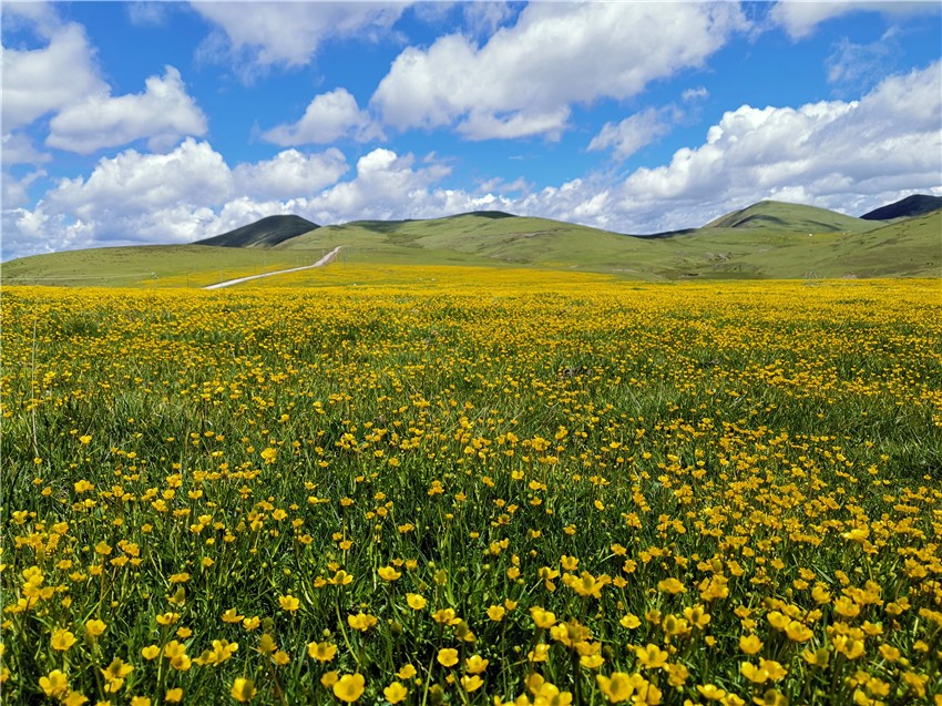 祝?；ê? 任剛.jpg