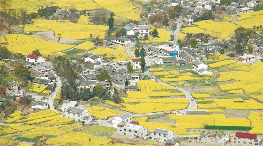 田疇生態(tài)濃.jpg 田疇生態(tài)濃.jpg