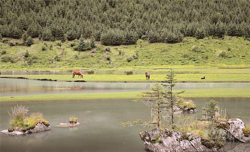 去甘孜 邂逅絕美湖泊海子！