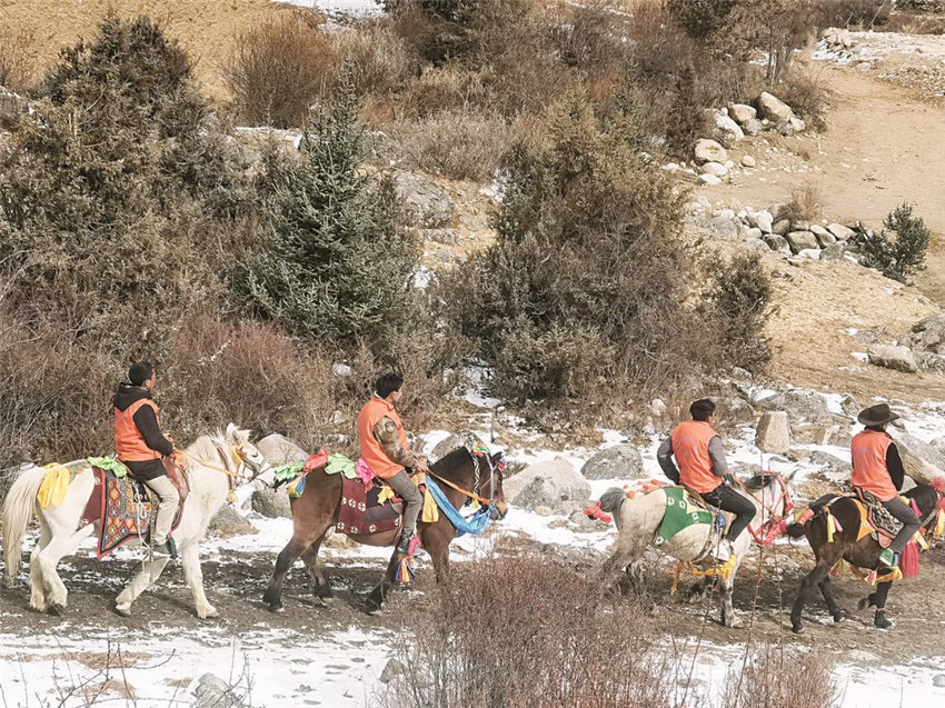 圖為巡護隊.jpg 圖為巡護隊.jpg