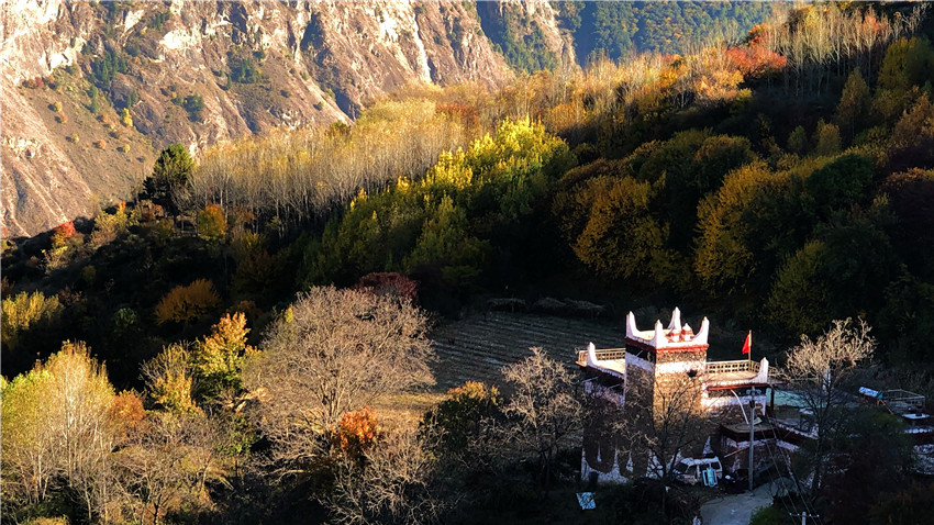 攝影作品.jpg 攝影作品.jpg