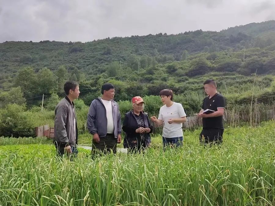 圖為簡書梅.jpg 圖為簡書梅.jpg