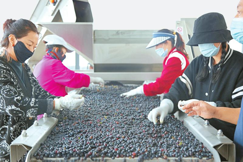 村民在.jpg 村民在.jpg