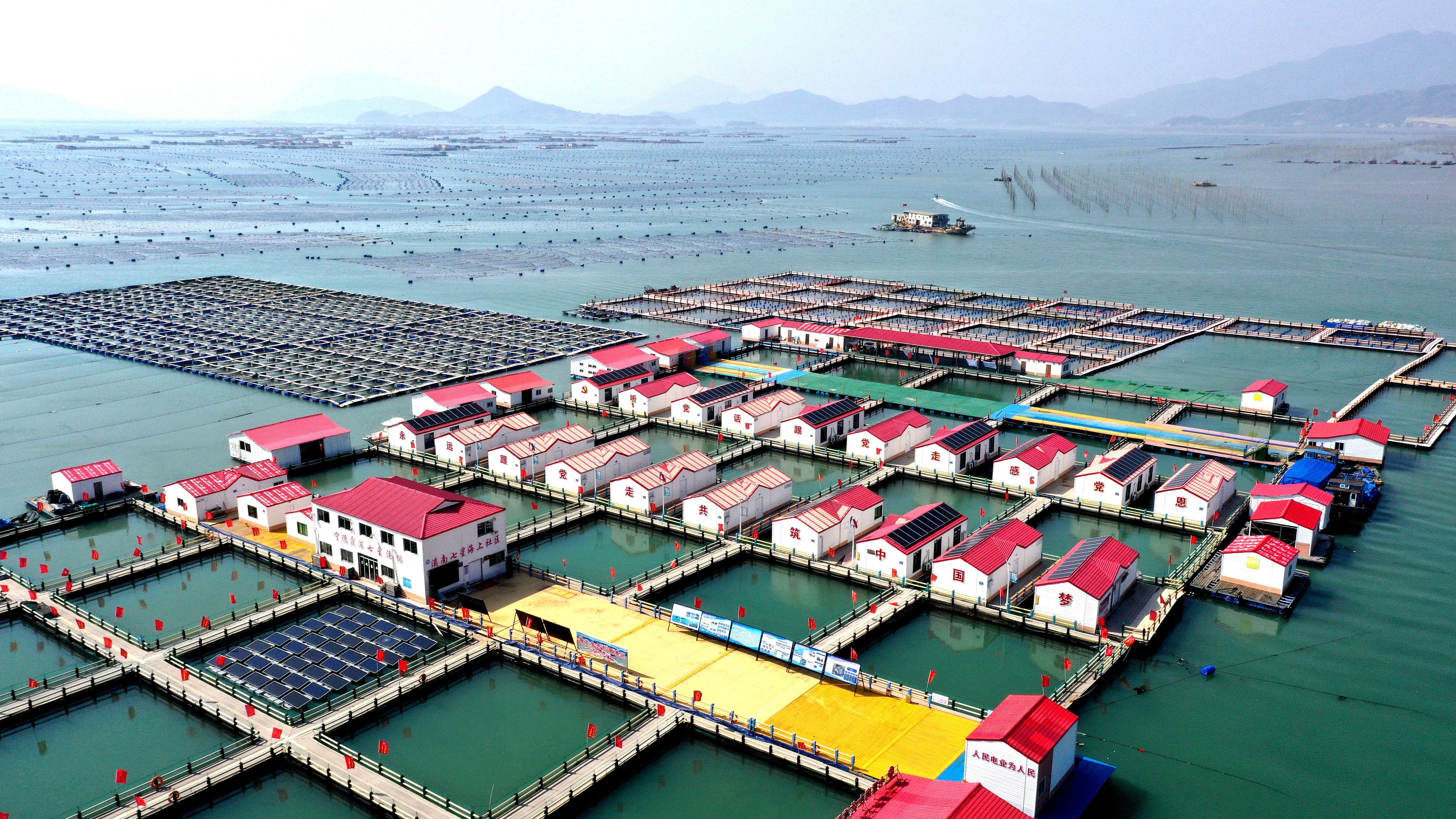 2024年3月20日，福建省寧德市，霞浦縣溪南鎮(zhèn)七星村漁排養(yǎng)殖示范區(qū)，漁民駕駛養(yǎng)殖船進(jìn)行海參養(yǎng)殖作業(yè)。