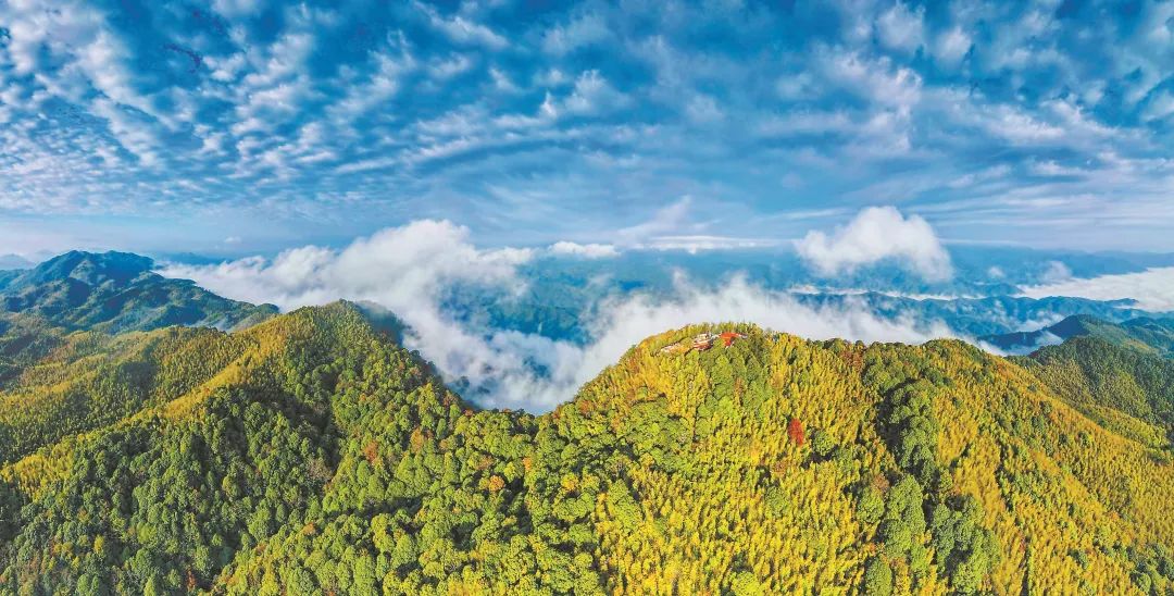 　三明森林生態(tài)環(huán)境優(yōu)美。